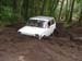 Niva dans le trou