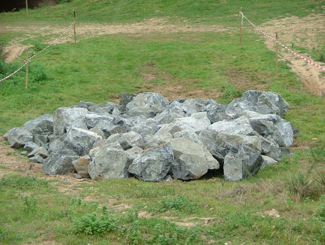 DSCF6676