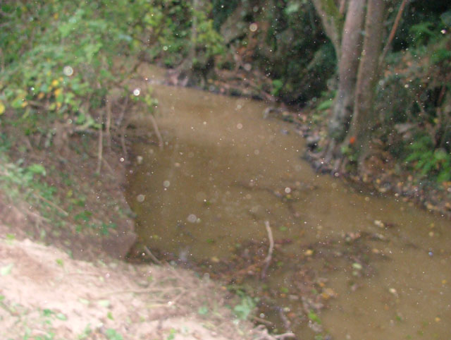 DSCF6684