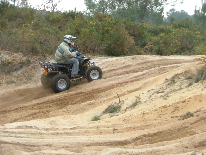 Quad (1)