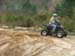 Quad (2)