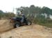 Quad (4)