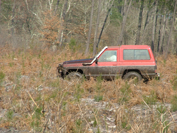 DSCF2334